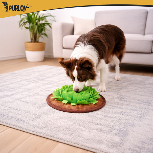 Tapis odorant pour chiens fouille