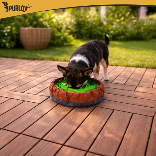 Tapis odorant pour chiens fouille