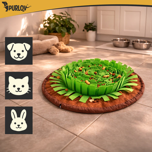 Tapis odorant pour chiens fouille