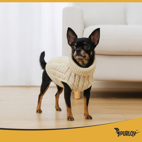 Vêtements pour chien/chat taille S beige Purlov