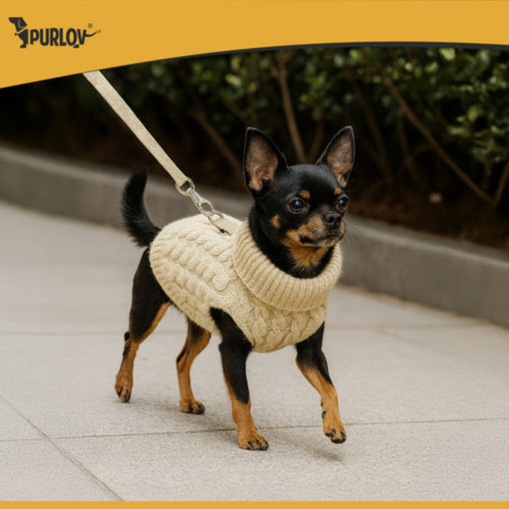 Vêtements pour chien/chat taille S beige Purlov